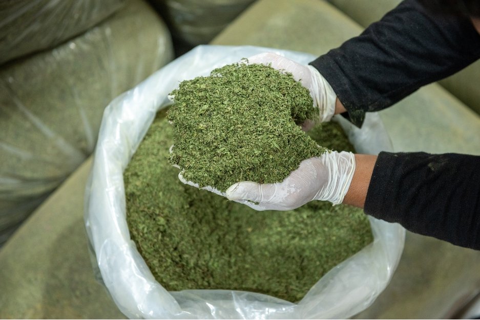 Nusantara Kratom Supplier