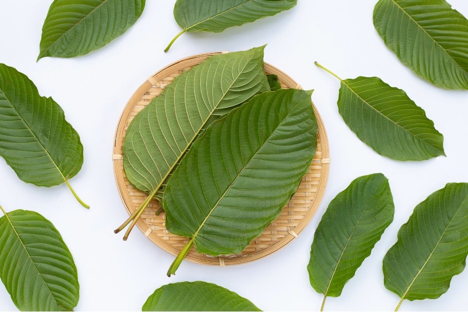 Navigating the Spectrum: Exploring Different Kratom Strains